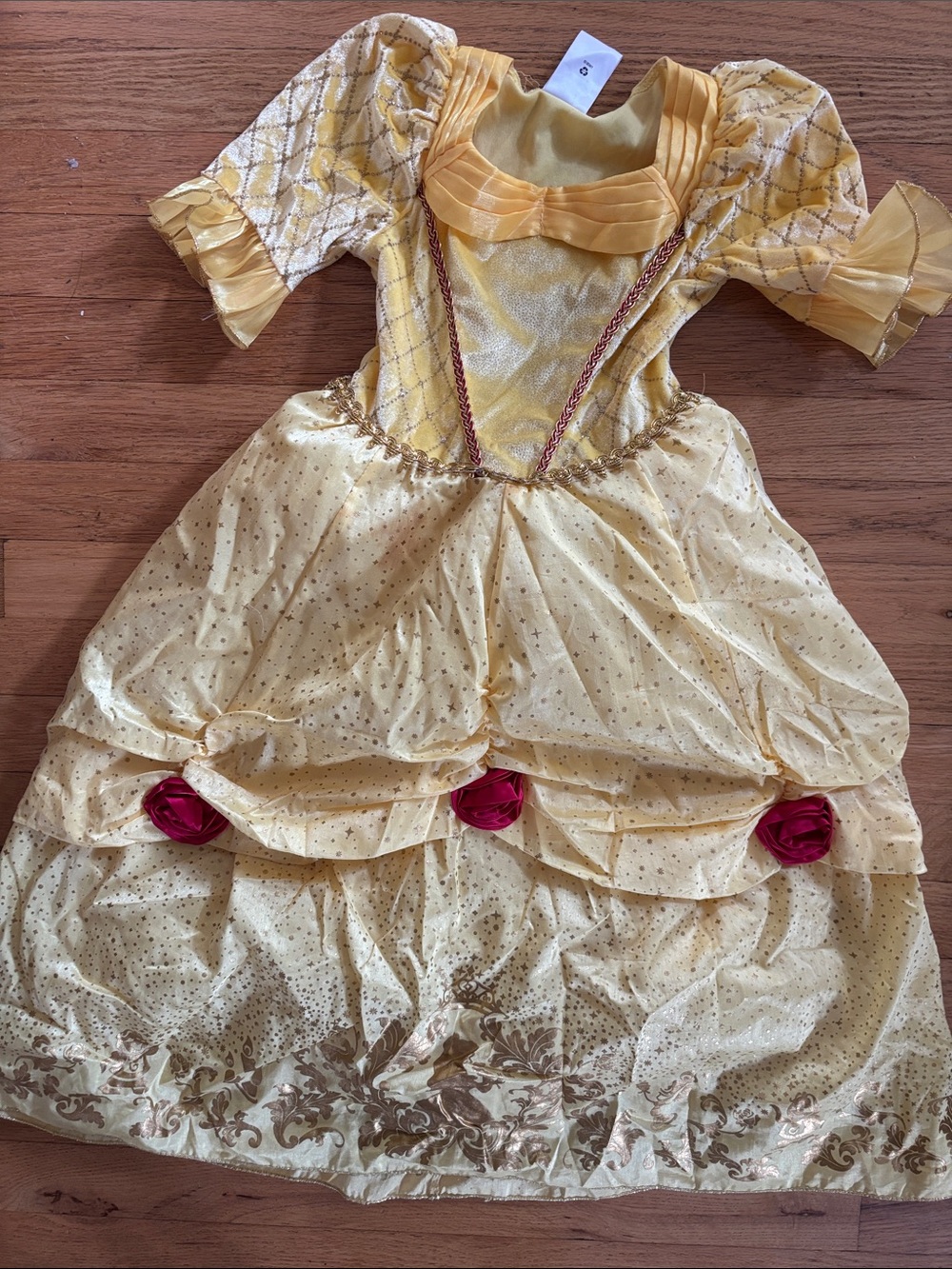 Belle Disney Costume